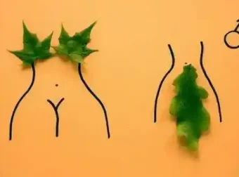 性科学书籍合集：探索多元性健康知识