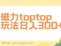 磁力toptop玩法课程：轻松上手的赚钱项目