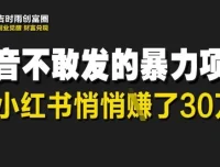 小红书天涯神贴暴利项目：低门槛轻资产创业指南