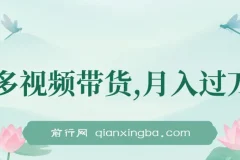 多多视频带货项目介绍：轻松实现兼职创收