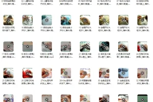 棒针编织练习200实例：毛衣、帽子、手套等编织教程