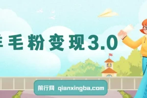 羊毛粉变现3.0：全网独家引流教程