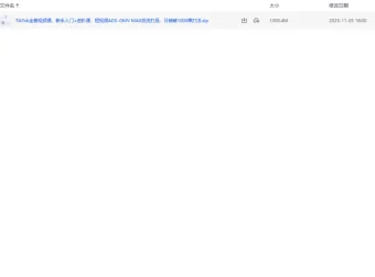 TikTok电商实战课：ADS投流与达人带货增长打法