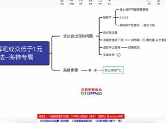 拼多多直通车高投产玩法：搜索、场景与全站推广实战课程
