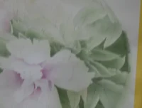 龚雪青亲授工笔牡丹《牡丹小晴》3讲课程