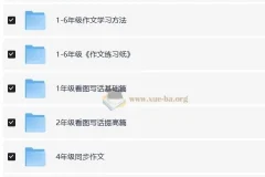 陈心小学语文满分作文课程