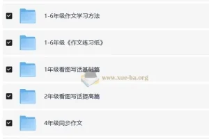 陈心小学语文满分作文课程