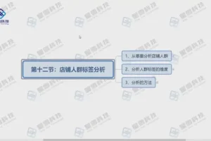 淘系电商运营实战课程：搜索入池至全店动销