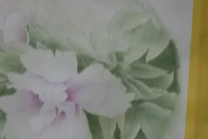 龚雪青亲授工笔牡丹《牡丹小晴》3讲课程