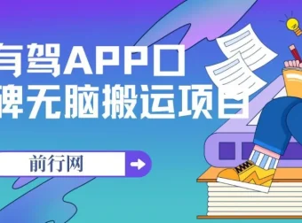 有驾APP口碑活动项目：单号最高获110元奖励