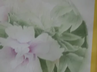 龚雪青亲授工笔牡丹《牡丹小晴》3讲课程