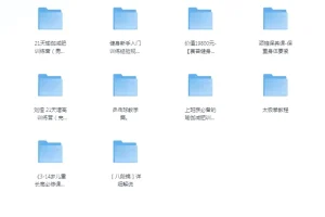 付费健身VIP课程大合集：多样健身方案助力健康生活