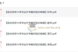 阳光同学小升初教材知识梳理