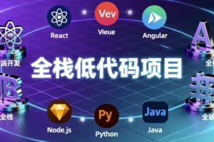 全栈低代码项目教程