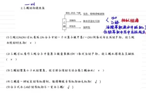 清越姐姐高中化学必修二系统课：考点与解题技巧精讲