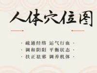 人体穴位图及穴位图解大全