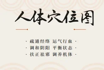人体穴位图及穴位图解大全