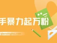 快手万粉涨粉课程：一周涨粉与多元变现指南