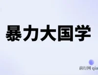 暴力国学：国学项目课程介绍