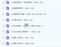 王芳讲一战二战音频课程