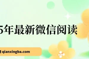 25年最新微信阅读项目：每日10分钟，单号获利145