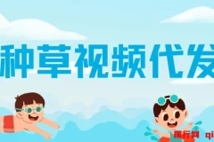 种草视频代发项目：无门槛日入300+，无粉丝与播放量要求