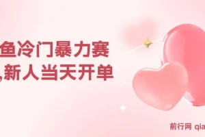 闲鱼冷门赛道副业课程：新人快速开单，利润可观