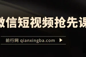 微信短视频抢先课程：视频号运营秘籍