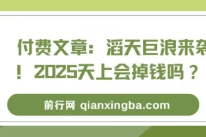 付费文章：2025经济形势与风口解读