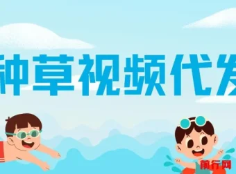 种草视频代发项目：无门槛日入300+，无粉丝与播放量要求