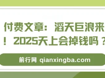 付费文章：2025经济形势与风口解读