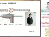 2024高考马阳洋生物二轮冲刺班：稳态与生态专题