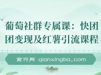 快团团变现与小红书引流课程：解决流量、变现、帮卖痛点