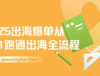 2025出海爆单全攻略：抢滩新风口
