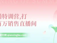 直播特训营：掌握技巧，打造百万销售直播间