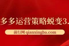 大力老师·2024拼多多运营策略蜕变3.0课程