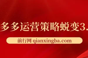 大力老师·2024拼多多运营策略蜕变3.0课程