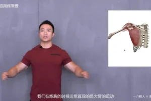 一介粗人x麦大湿胸部训练入门课程