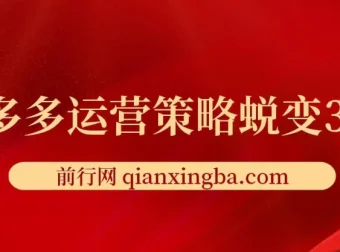 大力老师·2024拼多多运营策略蜕变3.0课程