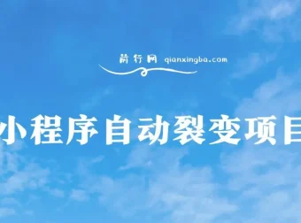 小程序自动裂变项目：全自动推广，收益稳定在500 – 2000+