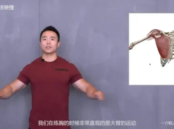 一介粗人x麦大湿胸部训练入门课程