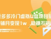 多多冷门虚拟U盘项目玩法（2025版）：单店铺月变现1w+