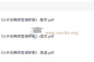 小升初教研室语数英调研卷