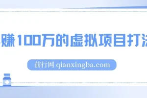 《年赚100万的虚拟项目打法》干货文章