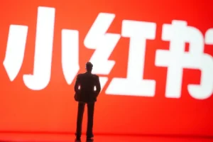 小红书养号秘籍：自动涨粉与高权重账号打造