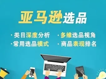 阿甘亚马逊跨境电商利基选品案例课程
