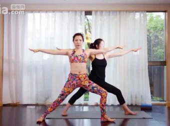 杨淇五行经络瑜伽养生理疗课程