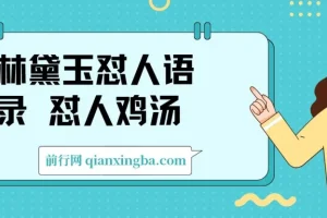 林黛玉怼人语录AI副业项目：附提示词轻松产出图文视频