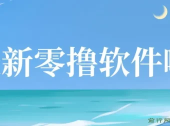 零撸软件项目揭秘：单机日收益可观，小白轻松上手