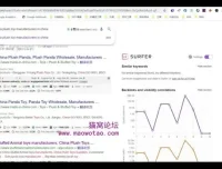 谷歌广告投放实战教程：从入门到精通